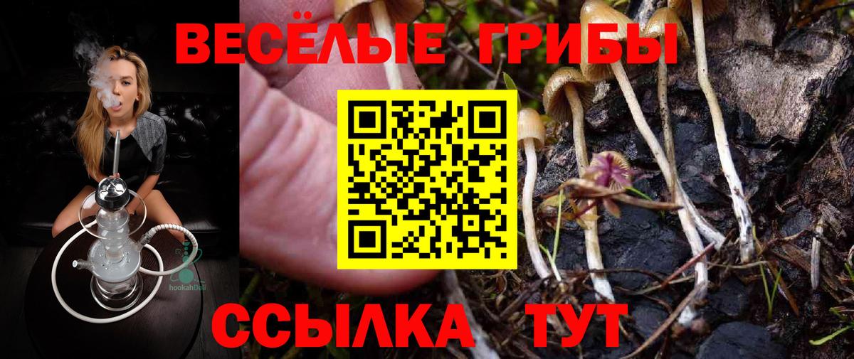 Псилоцибиновые грибы MAGIC MUSHROOMS  Вход с VPN  Еманжелинск 